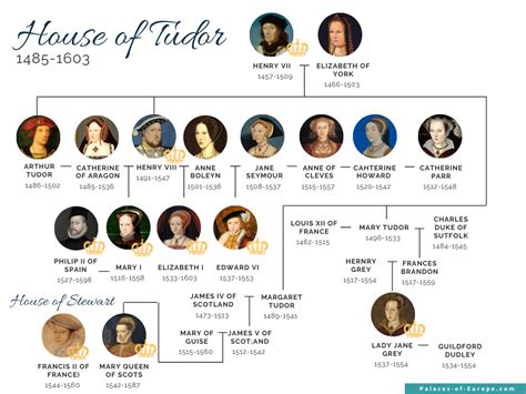 donasta tudor|house of tudor family tree.